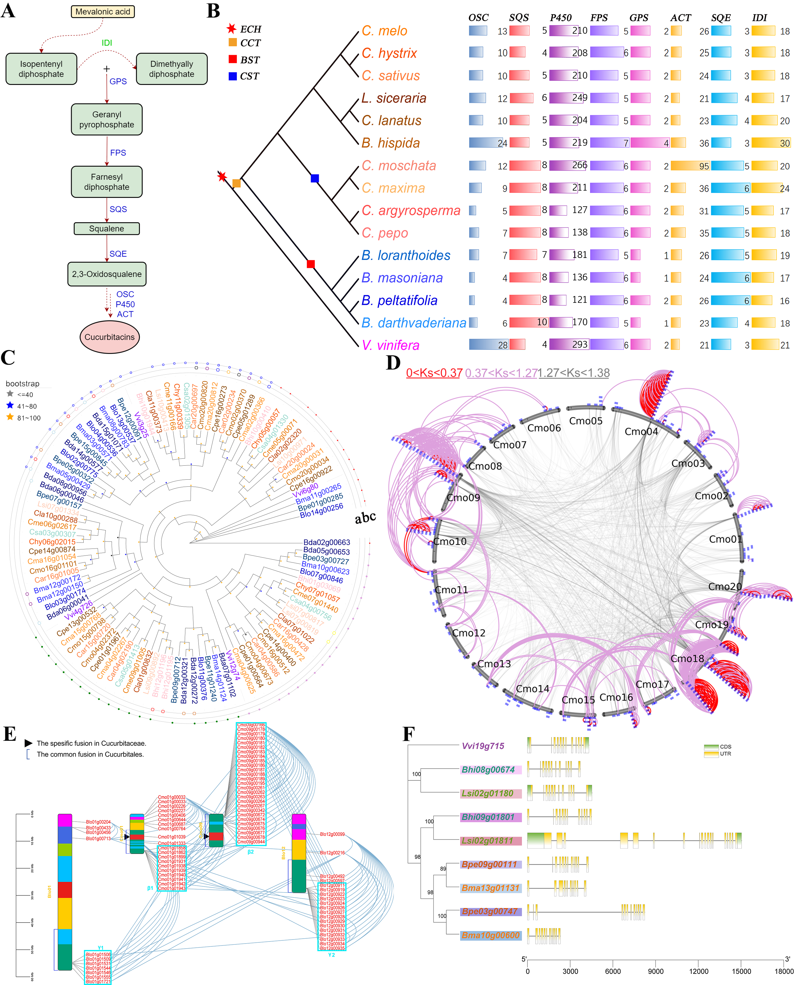 GenePair