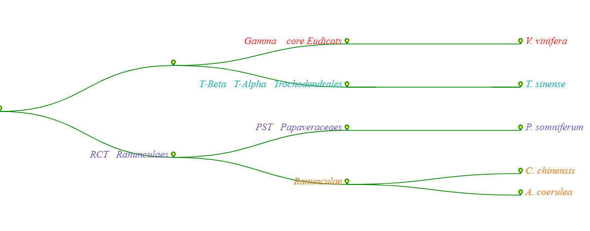 GeneDescription