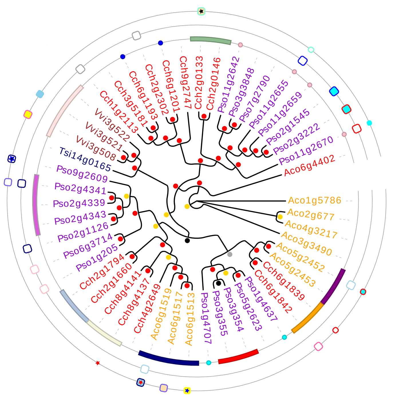 GenePair